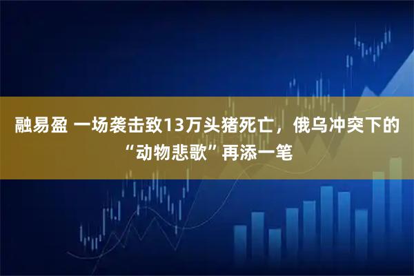 融易盈 一场袭击致13万头猪死亡，俄乌冲突下的“动物悲歌”再添一笔